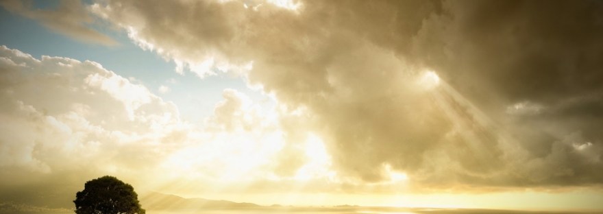 Biodecoding of Christian Fleche with Marie Boularand