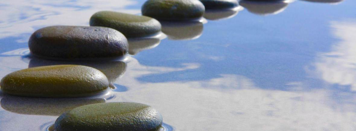 Biodecoding of Christian Fleche with Marie Boularand